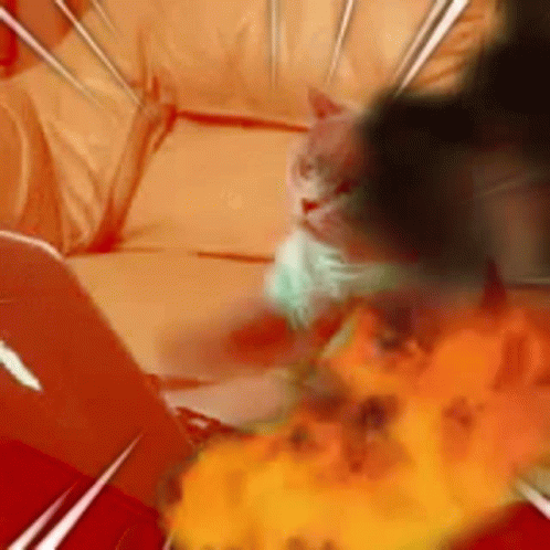cat-typing-cat-typing-fire.gif