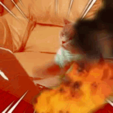 Cat Typing Cat Typing Fire GIF - Cat Typing Cat Typing Fire Fire GIFs