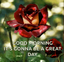 Good Morning Sparkles GIF - Good Morning Sparkles Great Day GIFs