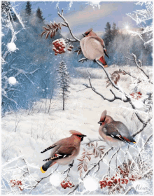 Birds Snowing GIF - Birds Snowing GIFs