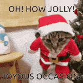 Christmas Cat GIF
