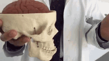 Practical Demonstration Of A Concussion GIF - Concussion Demonstration GIFs