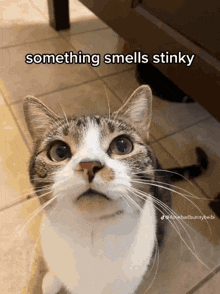Stinky Your Stinky GIF - Stinky Your Stinky Something Smells Stinky GIFs
