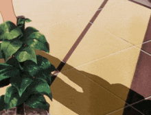 a plant in a pot on a tiled floor