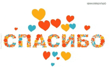 the word спасибо is surrounded by colorful hearts on a white background