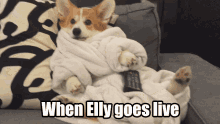 when elly goes live f1 f1elly elly twich