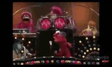 The Muppets Musician GIF - The Muppets Musician Band GIFs
