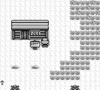 a black and white video game scene with a store called poke .