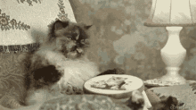 Needlepoint Cat GIF - Needlepoint Cat GIFs
