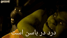 Shrek Distorted GIF - Shrek Distorted Donkey GIFs