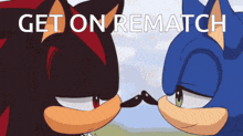 shadow the hedgehog and sonic the hedgehog touching noses with the words get on rematch in the background