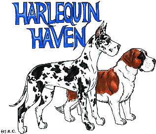 Haven Harlequin Sticker - Haven Harlequin Great Stickers