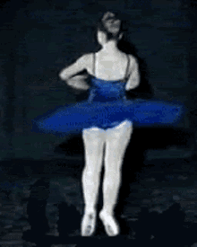 Classical Ballet Ballerina GIF