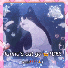 Furina Furina'S Cat GIF - Furina Furina'S Cat Genshin Cat GIFs