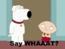 Family Guy Stewie Griffin GIF - Family Guy Stewie Griffin Say What GIFs