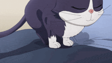 a black and white cat is sitting on a bed