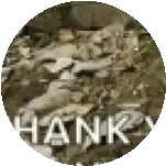 a circle with the word hank written in white letters