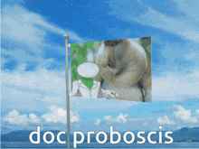 a flag that says doc proboscis with a picture of a monkey