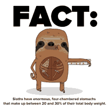 sloth fact