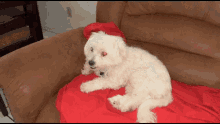 Sare Sares Ugly Dog GIF - Sare Sares Ugly Dog Aniwantsmoney GIFs