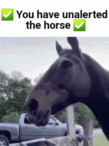 Hors Horse GIF - Hors Horse You Have Unalerted The Horse GIFs
