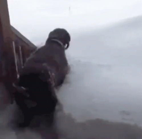 snowmageddon gif