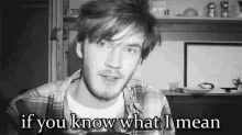 If You Know What I Mean Pewdiepie GIF