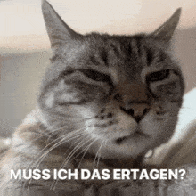 a close up of a cat with the words muss ich das ertagen written below it