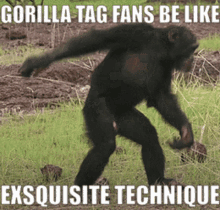 gorilla tag vr game video game