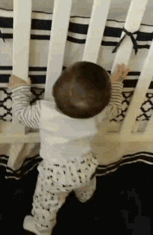 Baby Butt Baby Squats GIF