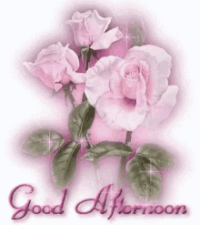 Good Afternoon Country Kind GIF - Good Afternoon Country Kind Roses GIFs