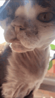 Mlem Tongue GIF - Mlem Tongue Cat GIFs