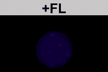 Fl Flashlight GIF - Fl Flashlight Osu GIFs