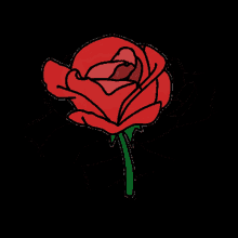 Rose Flower GIF - Rose Flower Aesthetic GIFs