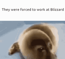They Were Forced To Work At Blizzard GIF - They Were Forced To Work At Blizzard GIFs