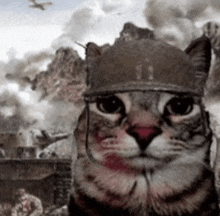 https://media.tenor.com/HXB5IotN6TcAAAAM/cat-war.gif