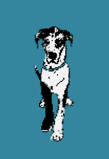 Apollito Dog GIF - Apollito Dog Great Dane GIFs