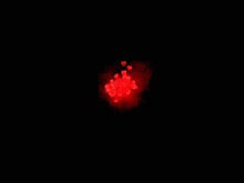 a bunch of red hearts are floating in the air on a dark red background .