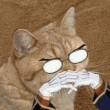 Anime Anime Cat GIF - Anime Anime Cat Thinking GIFs
