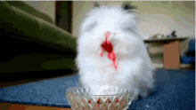 Rabbit Bunny GIF - Rabbit Bunny Fluffy GIFs