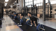 Dumbbell Workout GIF - Dumbbell Workout Exercise GIFs