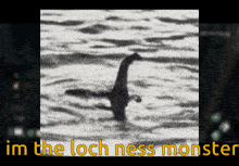 a black and white photo of a loch ness monster with the caption im the loch ness monster