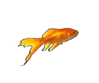 a drawing of a goldfish with a yellow tail