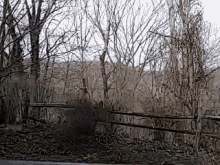 a wooden fence is surrounded by trees and bushes in a forest .