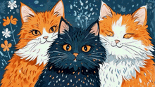 Cat With Two Wives GIF - Cat With Two Wives GIFs