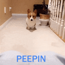 Beepin Beepin Get On GIF - Beepin Beepin Get On GIFs
