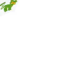 a green and yellow silhouette of a dragon on a white background .