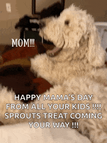 a dog is sitting on a bed with a caption that says happy mama 's day from all your kids