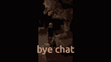 Bye Chat Rdo GIF - Bye Chat Rdo GIFs