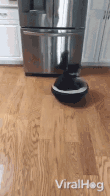 vacuum viralhog dog pet chores